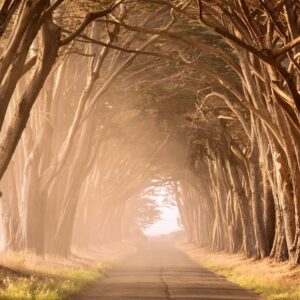 Il sentiero verso le vite precedenti