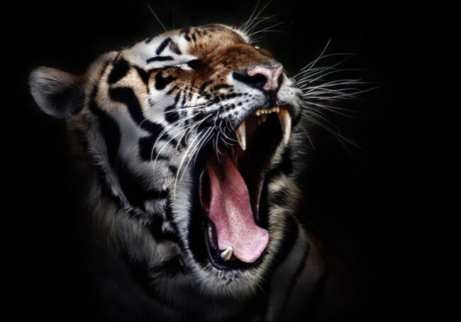 aumentare_la_motivazioe