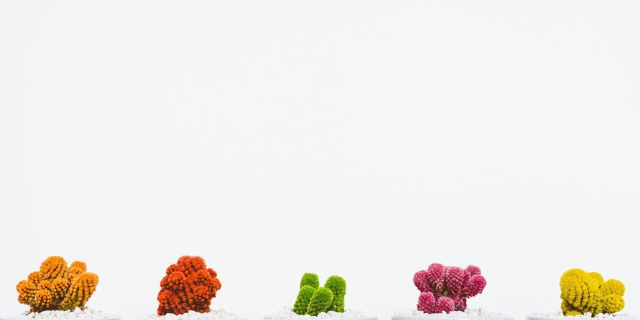 photo_2021-03-24_08-21-58